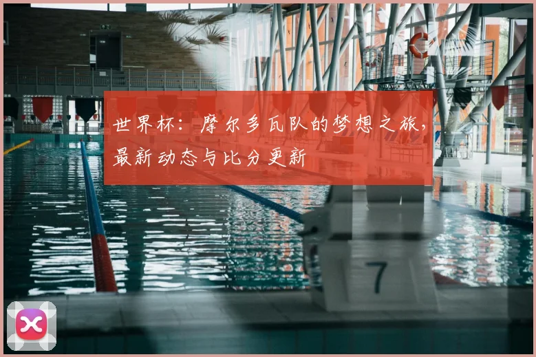 世界杯：摩尔多瓦队的梦想之旅，最新动态与比分更新
