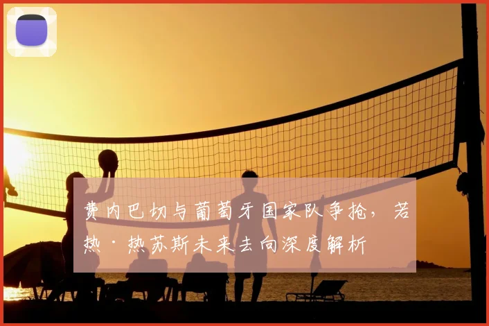 费内巴切与葡萄牙国家队争抢，若热·热苏斯未来去向深度解析