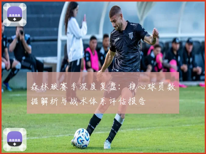 森林狼赛季深度复盘：核心球员数据解析与战术体系评估报告
